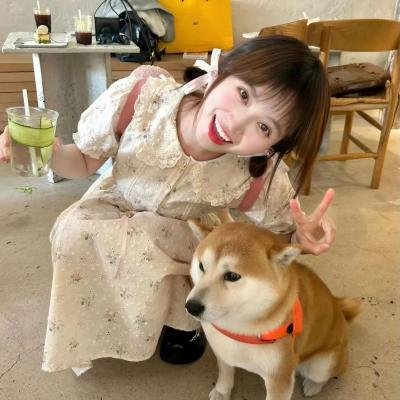 一见又倾心